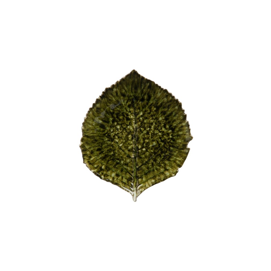 Hydrangea Leaf Riviera