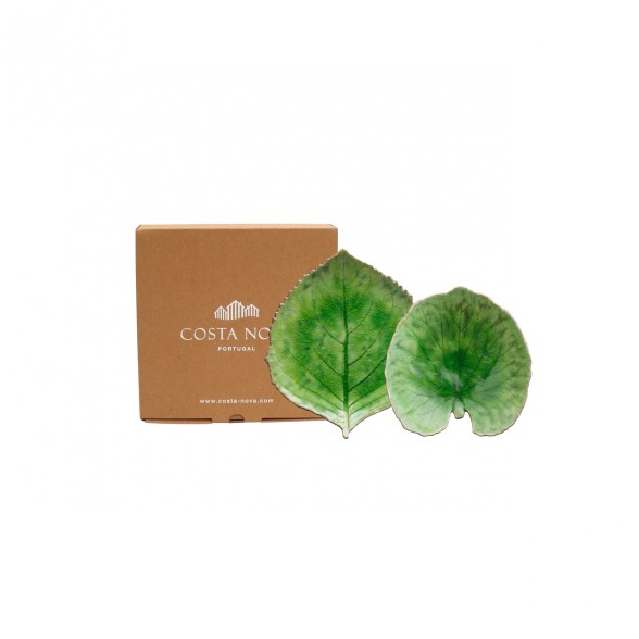 Gift set feuilles dalchemille et hortensia RIVIERA