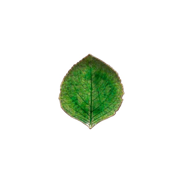 Small Hydrangea Leaf Riviera